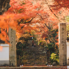 紅葉撮り納め（地蔵院）
