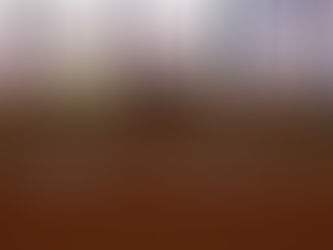 【活動報告】夏、風鈴とウイスキーと写真