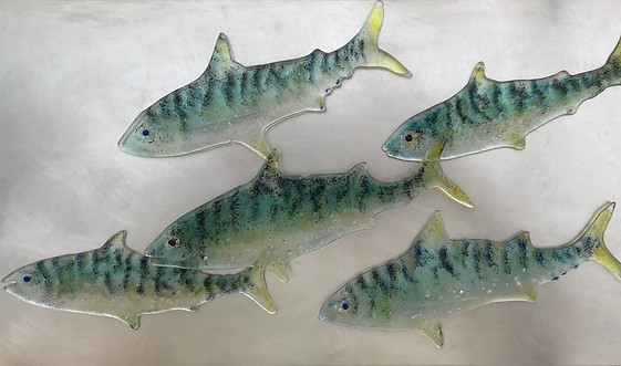 Fonds marins-Maquerels.jpg