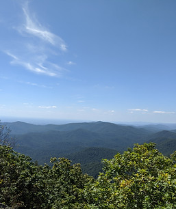 View of Blue Ridge Mountains from local trail