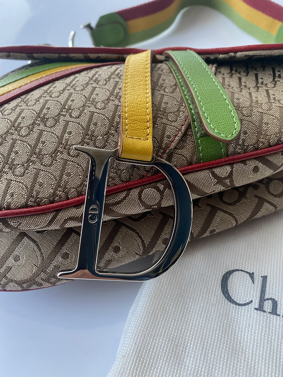 Thumbnail: Christian Dior Rasta Saddle Bag 
