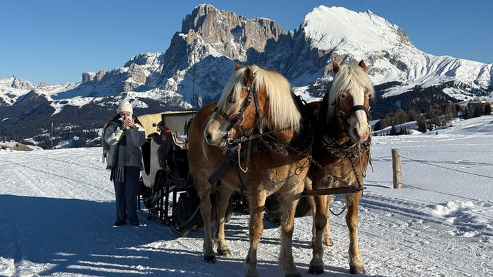 Horse-drawn Sleigh ride Innsbruck Dolomites  Tirol Alps