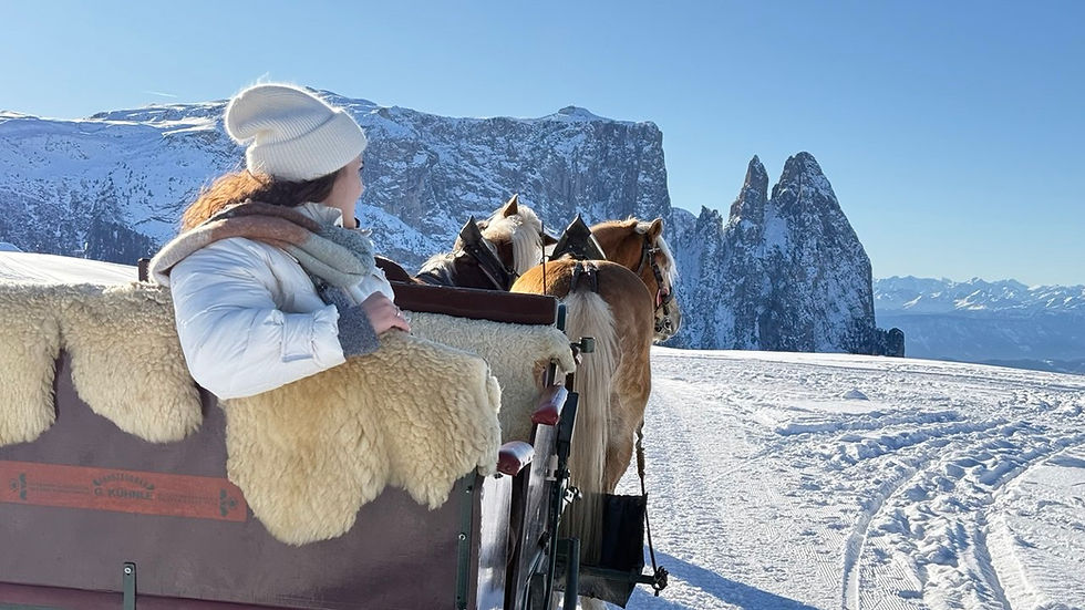 Thumbnail: Катание на лошадях, доломиты зимой