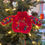 Thumbnail: Hand Knitted Christmas Jumper Decoration