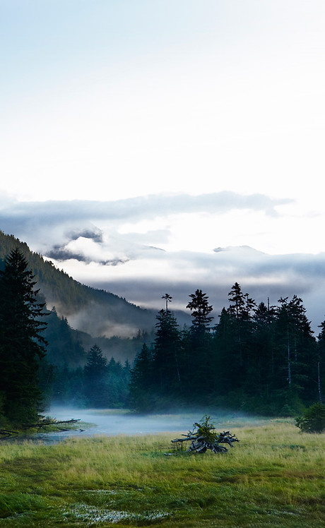 Mountain Stream