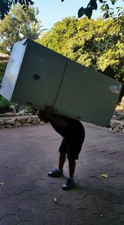 14650586_1310874015612084_5205852958922824274_n