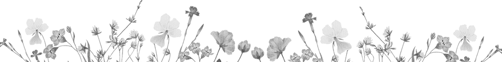 Flower Border.png