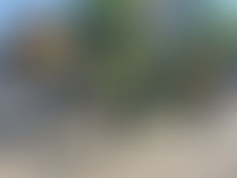 Morester Primary School Clean-Up