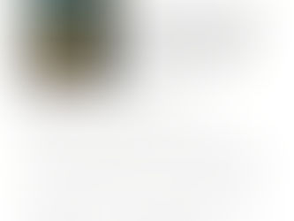 Book Club Reviews - Gregor the Overlander