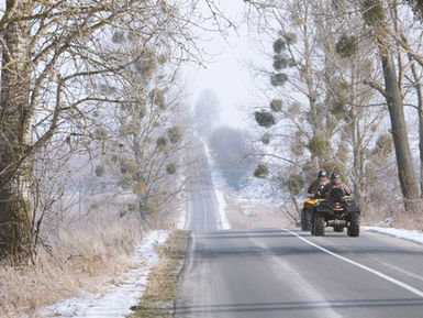 Sicher durch Schnee & Schlamm: Winterdienst 2025/2026