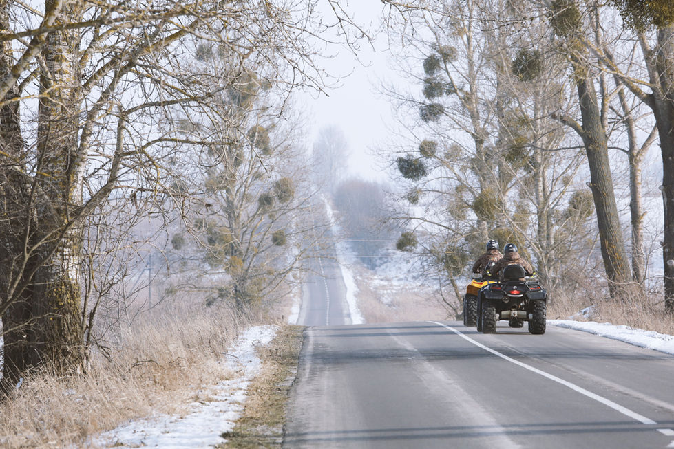 Mudanças na Europa: Especialistas em Rotas de Inverno