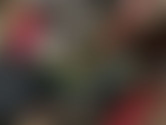 The Maverick Jurassic 100 and 50km