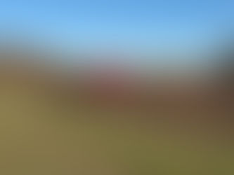 Suffolk Winter Cross Country League and Champs