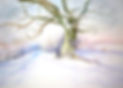 55%20Chaldon%20snow_edited.jpg