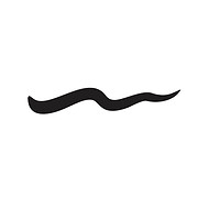 Logo de Loja Oficial Meio Swag