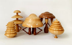 Árvores Laurissilva