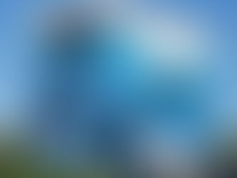 Whaling Wall- Key Largo, Florida