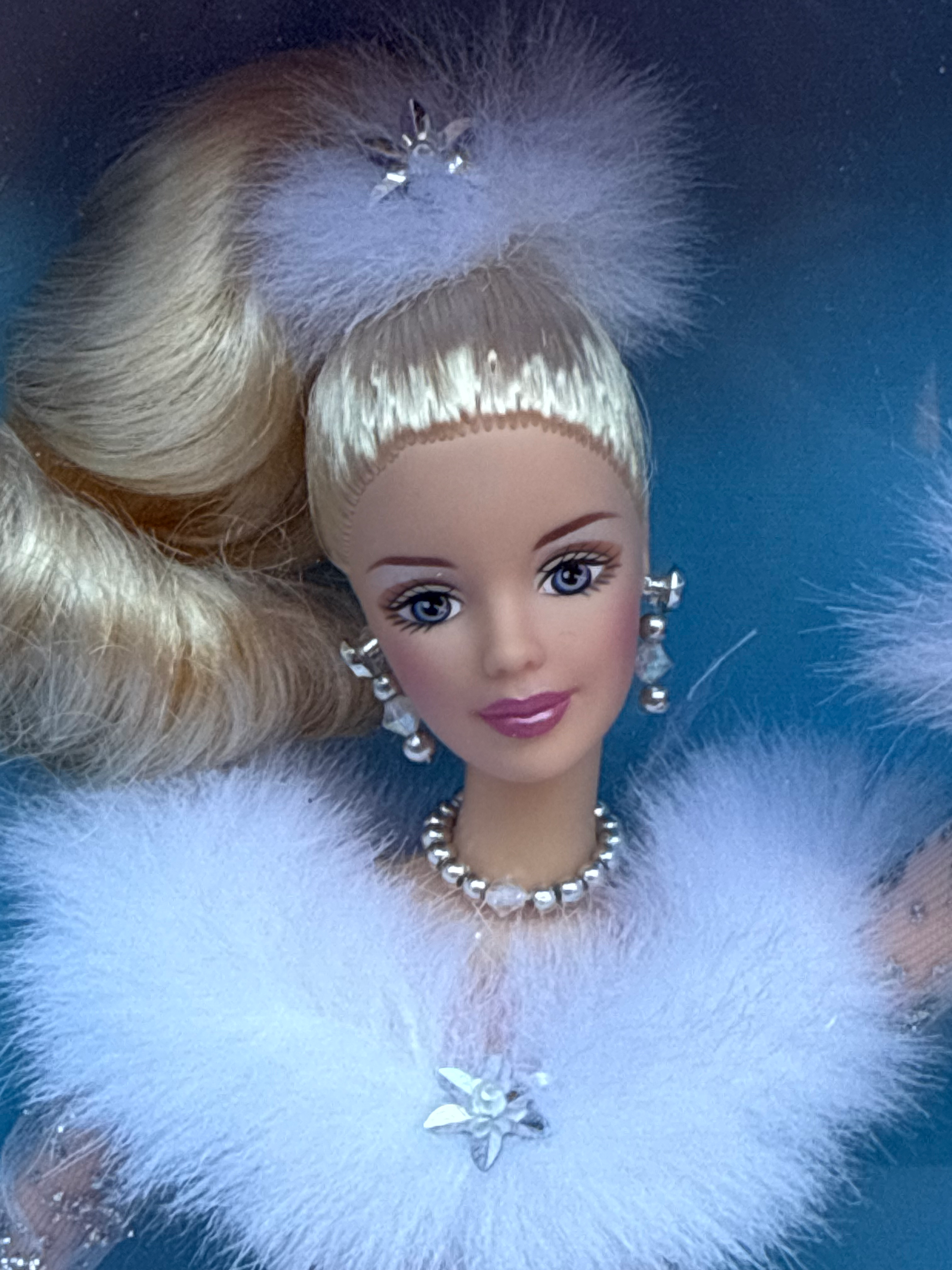 Winter Reflection Barbie