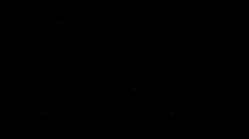 black background.webp