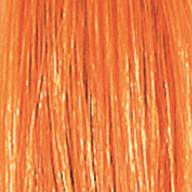 Thumbnail: Synthetic Clip-in