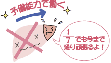肝臓