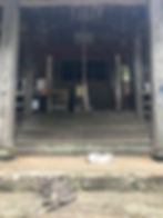 寺院と猫