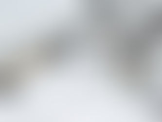 近日公開予定