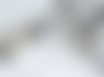 近日公開予定