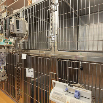 Hospital room