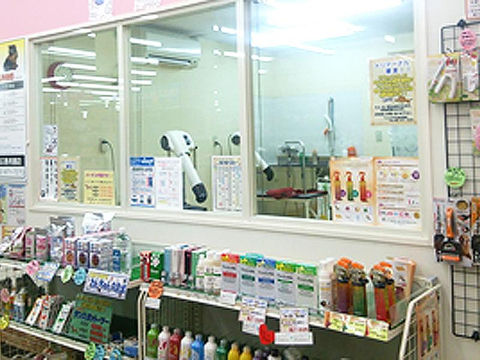 店内