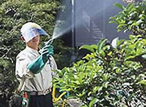 庭の手入れ