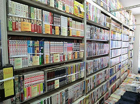 サブカルチャー系