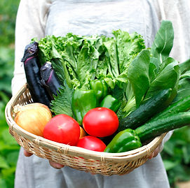 野菜