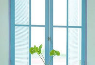 観葉植物と窓