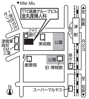 略図