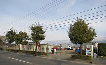 街路樹