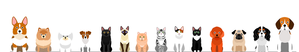 動物たちイメージ