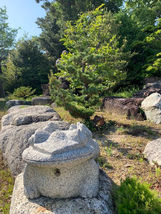 枯水山4