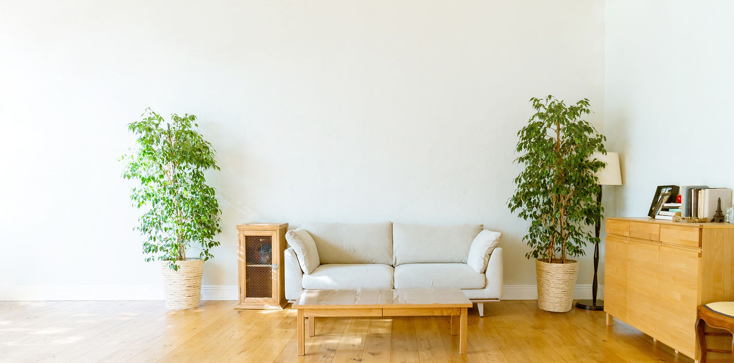 観葉植物を置いた部屋