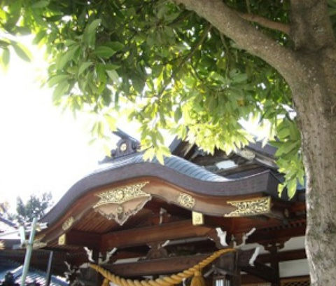 神社