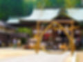 安仁神社「茅の輪神事」