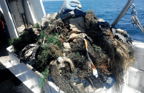 Freebird Catamarán joins the Spanish Association of Marine Waste, AEBAM