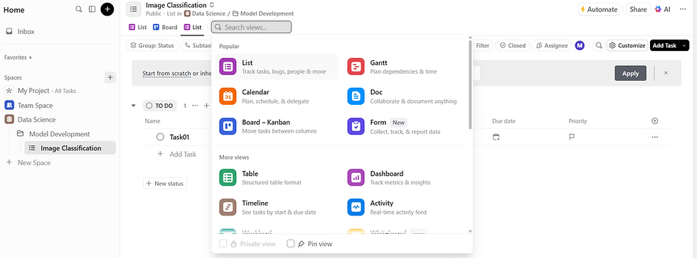 Choose and Customize Views