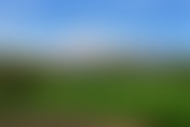 Niseko - Rise from first tracks to tourism powerhouse!