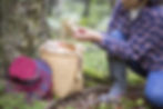 Foraging for mushrooms in Hokkaido