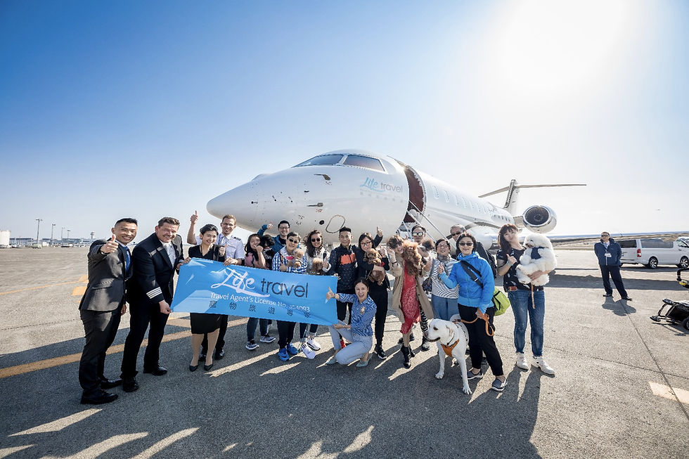 The Rise of Dog Tourism