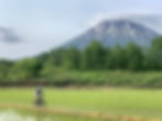Biking through Niseko's countryside with Mount Yotei in the background - stay at SnowDog Village
