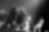 TributeToTheMusicOfLiveAid_Live (1)_edited.jpg