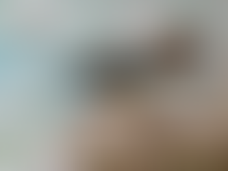 An Eleonora’s Falcon saga