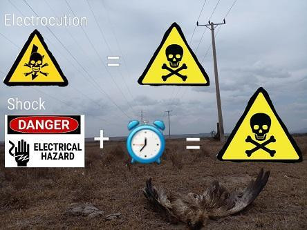 Thus the subtlety between electric shock and electrocution caused by 11-32KV power poles does not have much distinction in the end because both cause death.